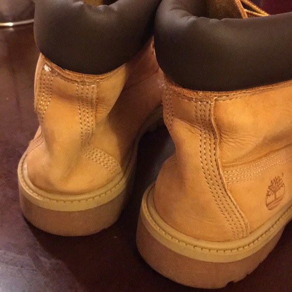 Timberlands - Picture 4 of 7